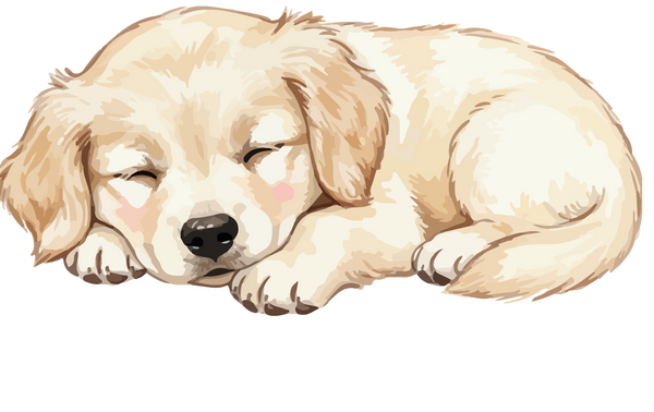 Dropba